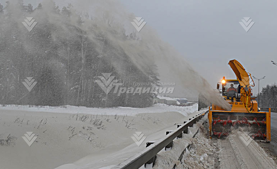 Шнекороторный снегоуборщик Delta FR-A 2800 картинка 494083